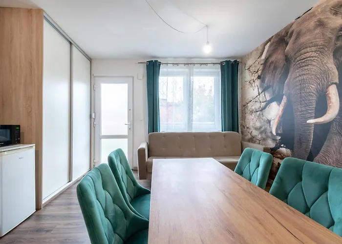 Zakatki Swiata * Poznaň