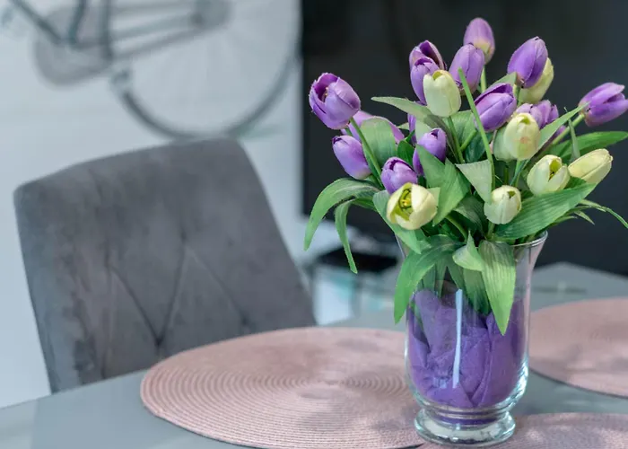 Zakatki Swiata Poznań